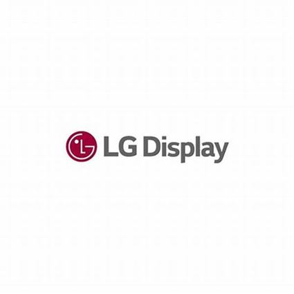 LG DISPLAY